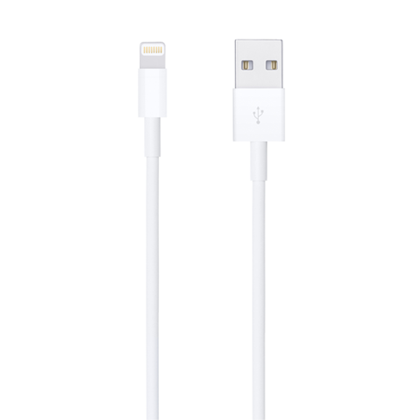 כבל טעינה מקורי USB-A ל-Lightning באורך 1 מטר - אפל | Apple