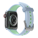 Applewatchacc